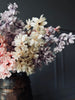 Blomster gren i mix farver