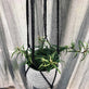 Blomsterophæng – Tynd / Sort - VIAMAJA