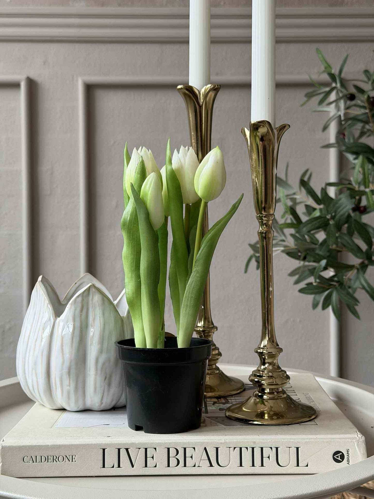 Tulipan i potte - Hvid
