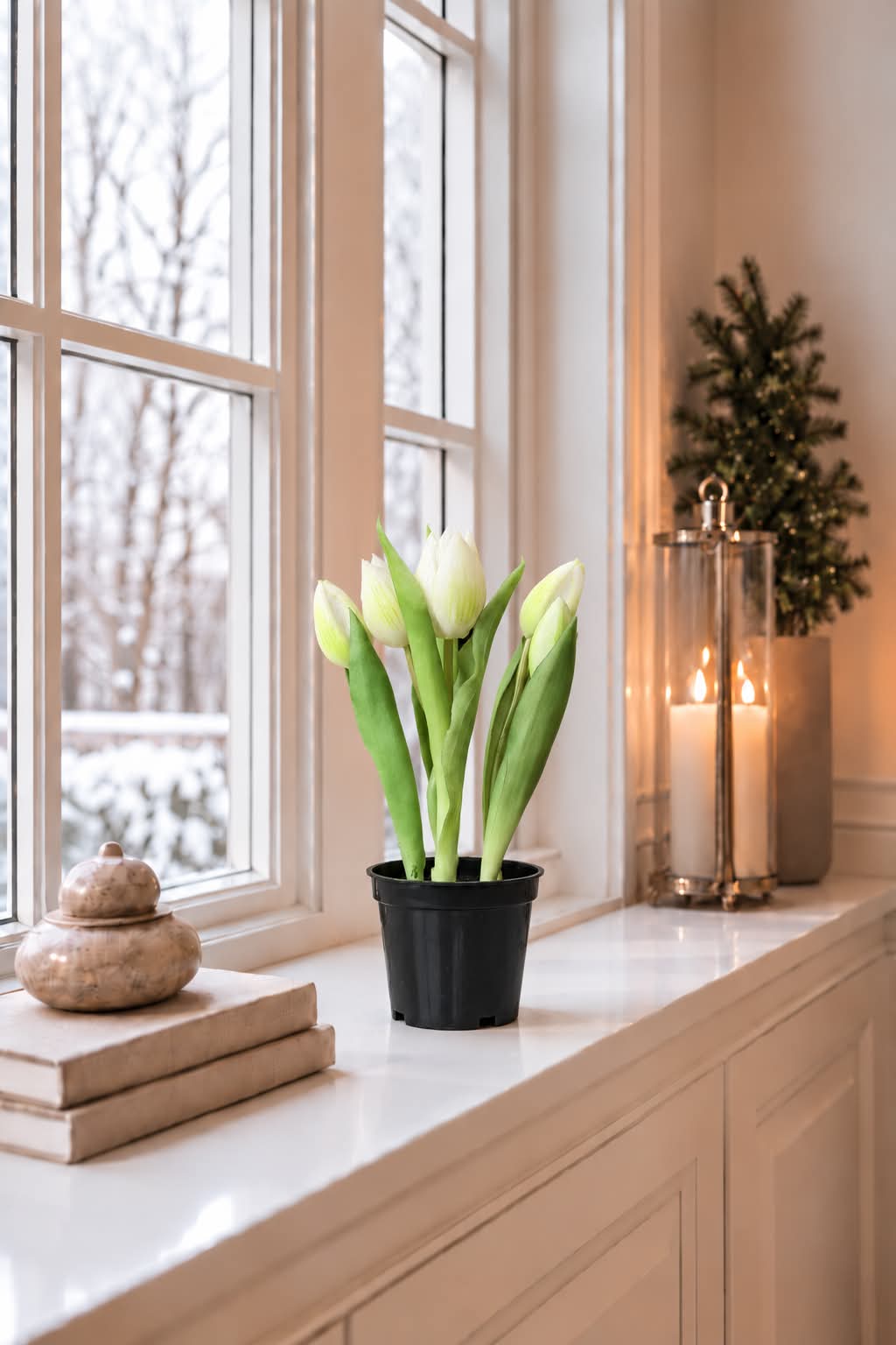 Tulipan i potte - Hvid