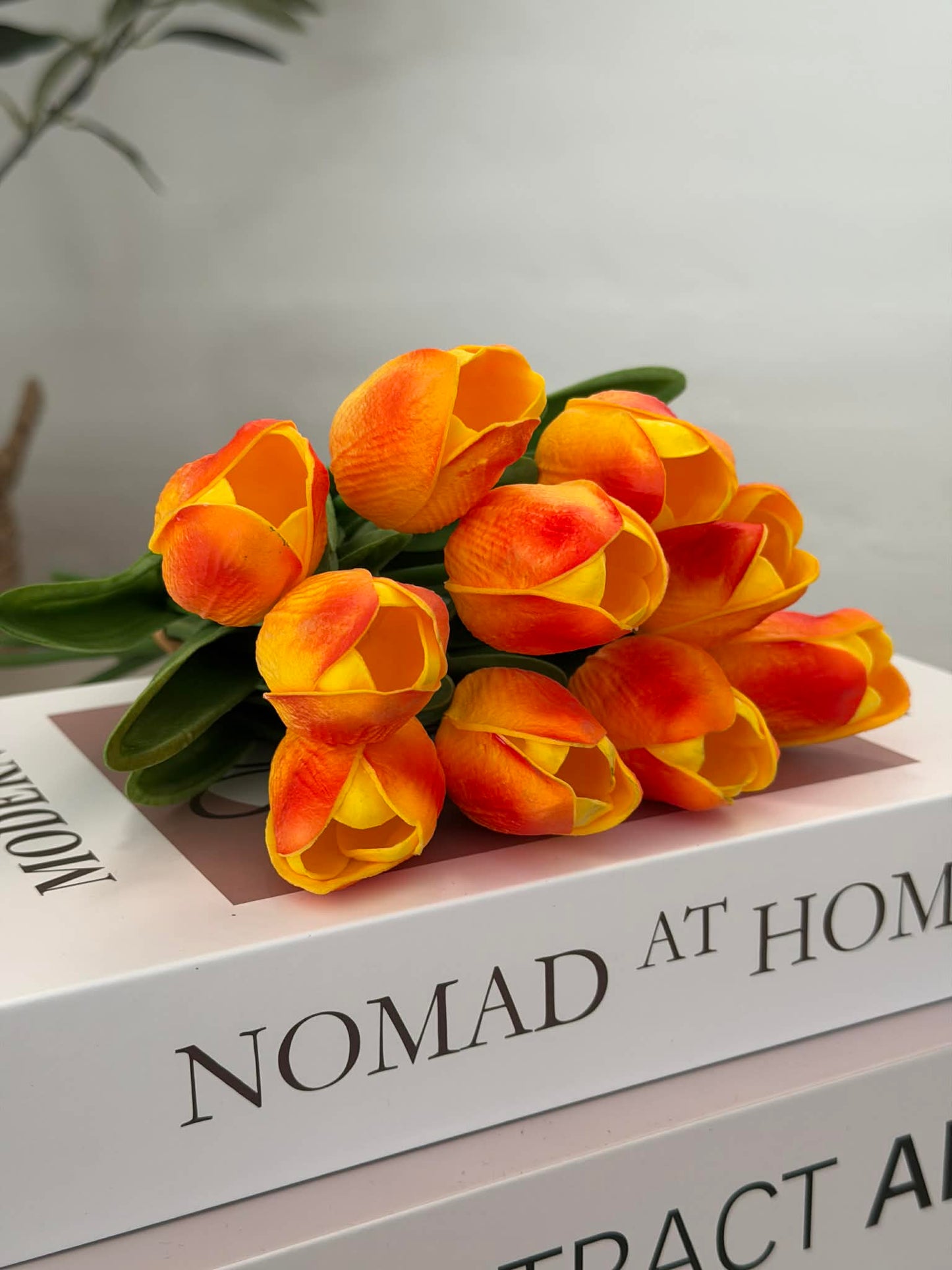 Tulipaner 10 stk. – Flere farver