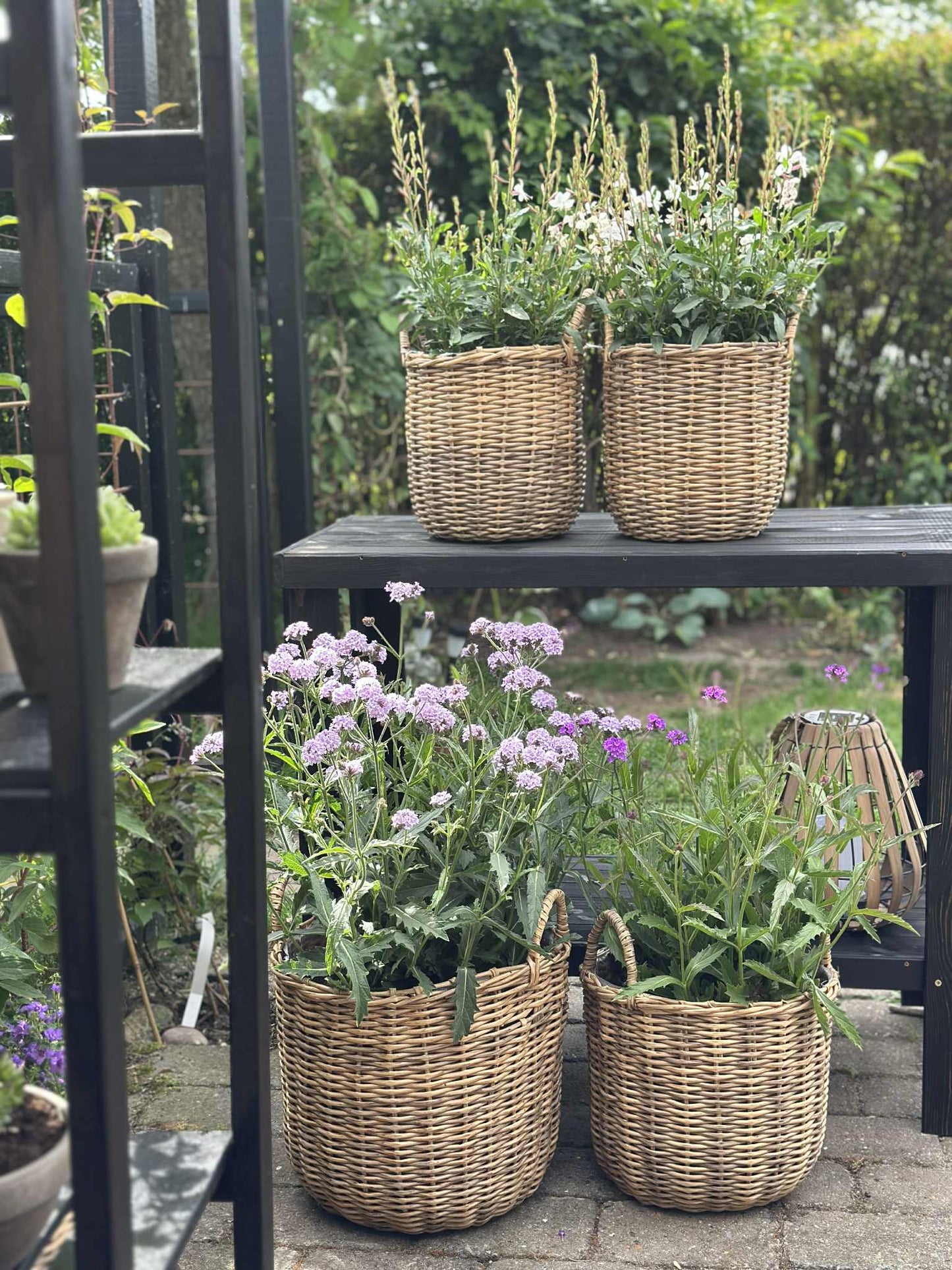 Plantekurve i natur - 3 stk