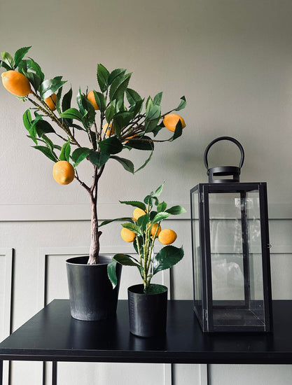 Citrustræ 70cm - VIAMAJA.DK