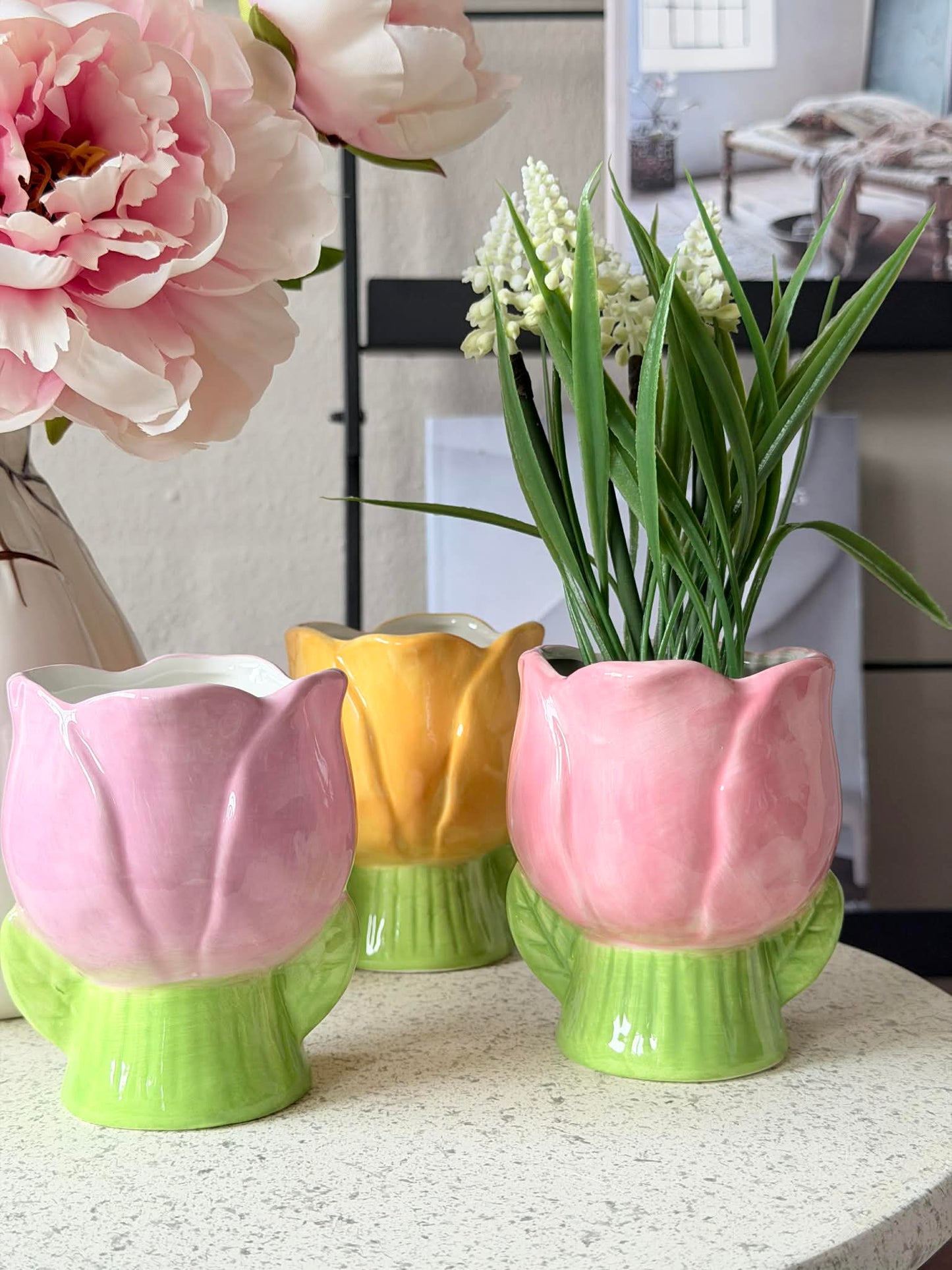 Skjuler Tulipan - Flere farver