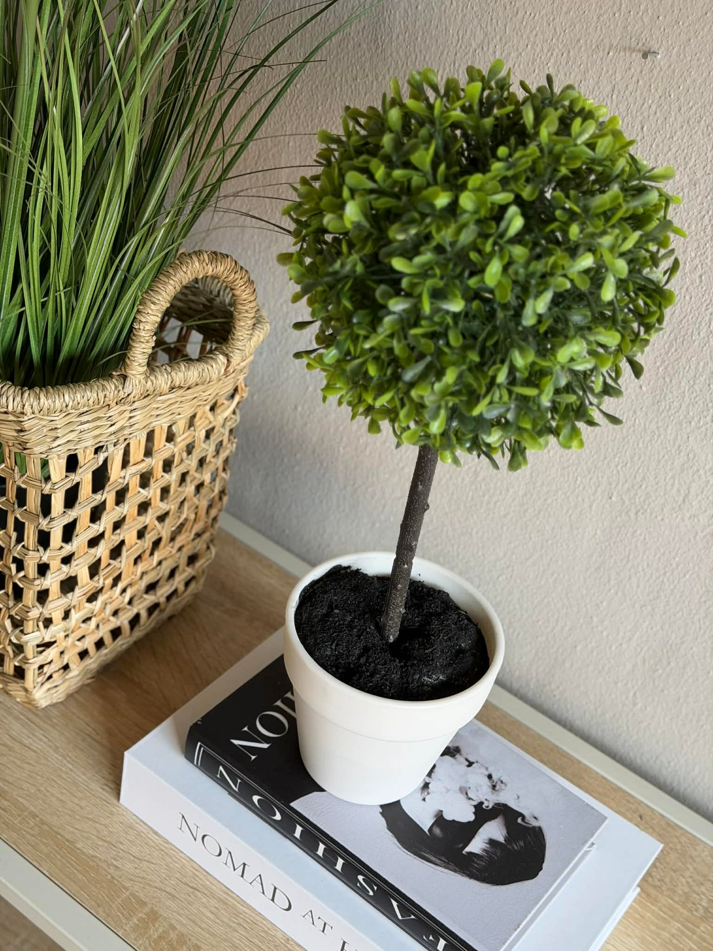 Opstammet træ