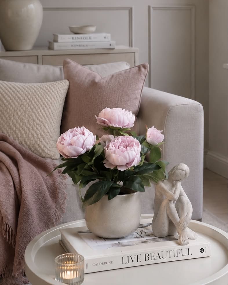 Pæon i potte - Rosa