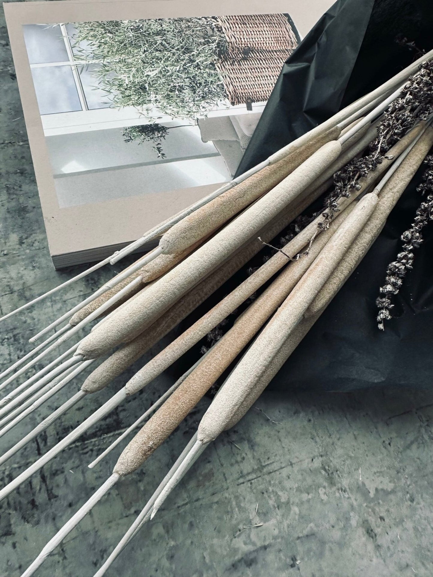 Dunhammer slim lys natur - VIAMAJA.DK