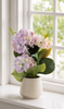 Hortensia i potte - Syren