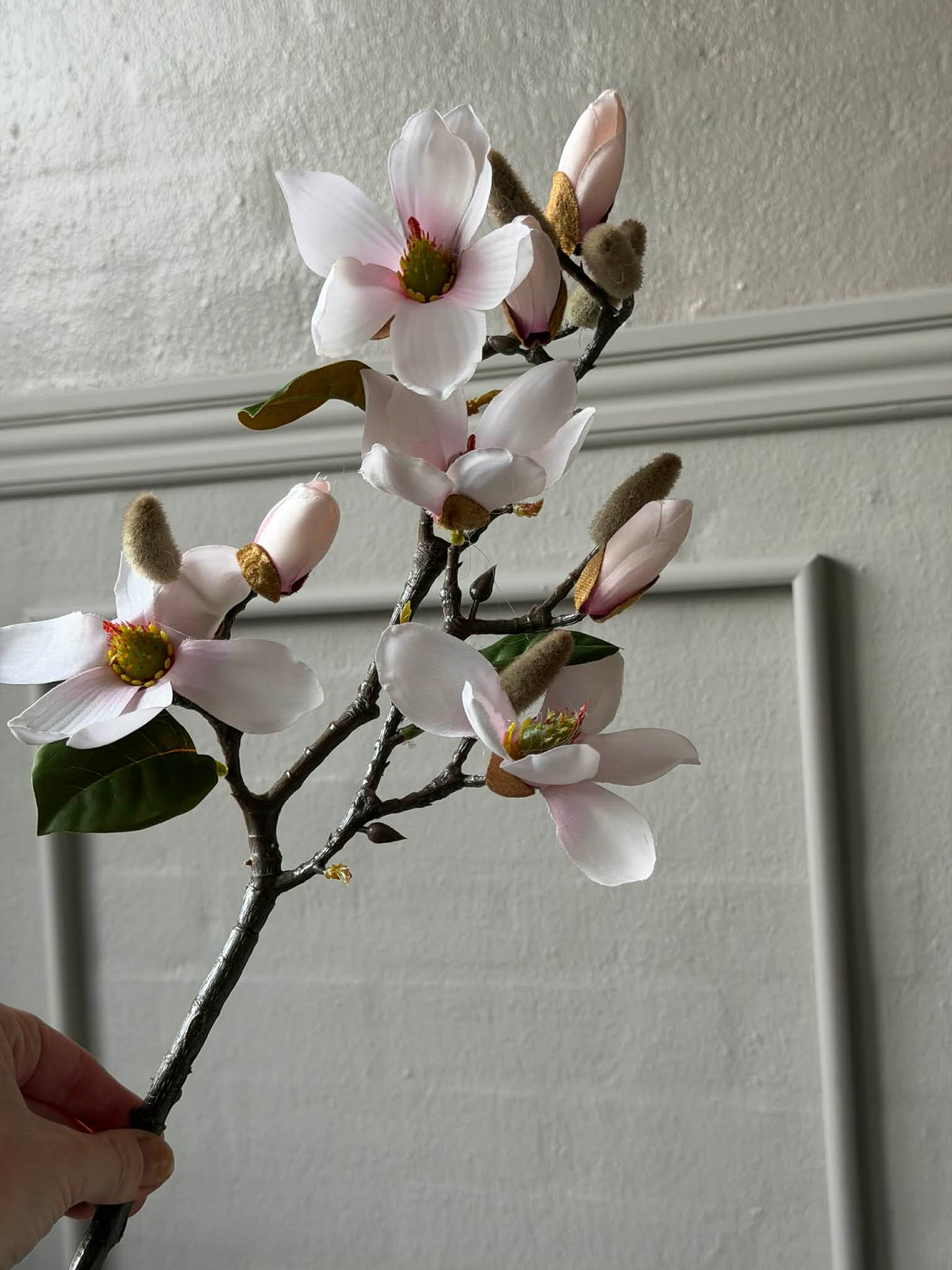 Magnoliagren - Pink 52cm