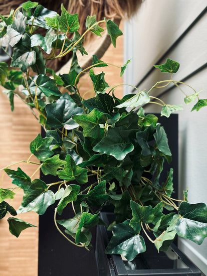Efue – 55 cm - VIAMAJA.DK