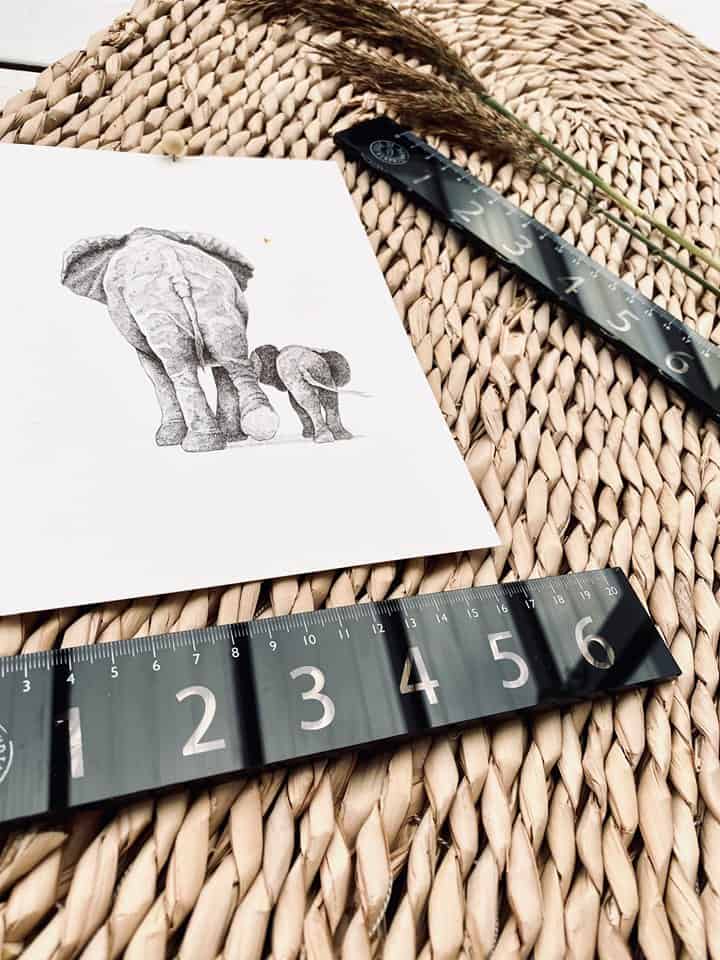 Eksklusiv Akryl – linial 30cm - VIAMAJA