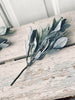Eukalyptus stilk - 30 cm