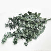 Evighedsbuket - Eucalyptus cynera