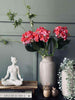 Hortensia Pink