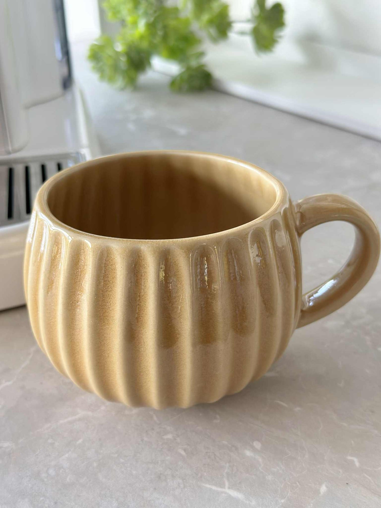 Krus VIGA Strib - Sennep