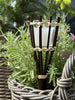 Fakkel citronella