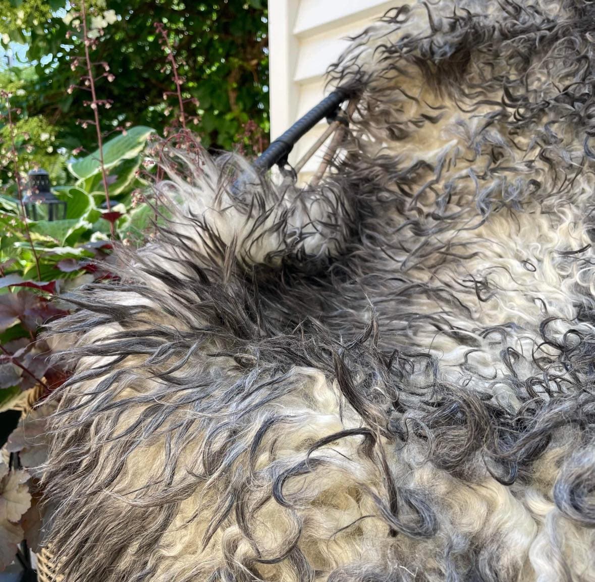 Gotlandsk lammeskind - 2. Sortering - VIAMAJA.DK