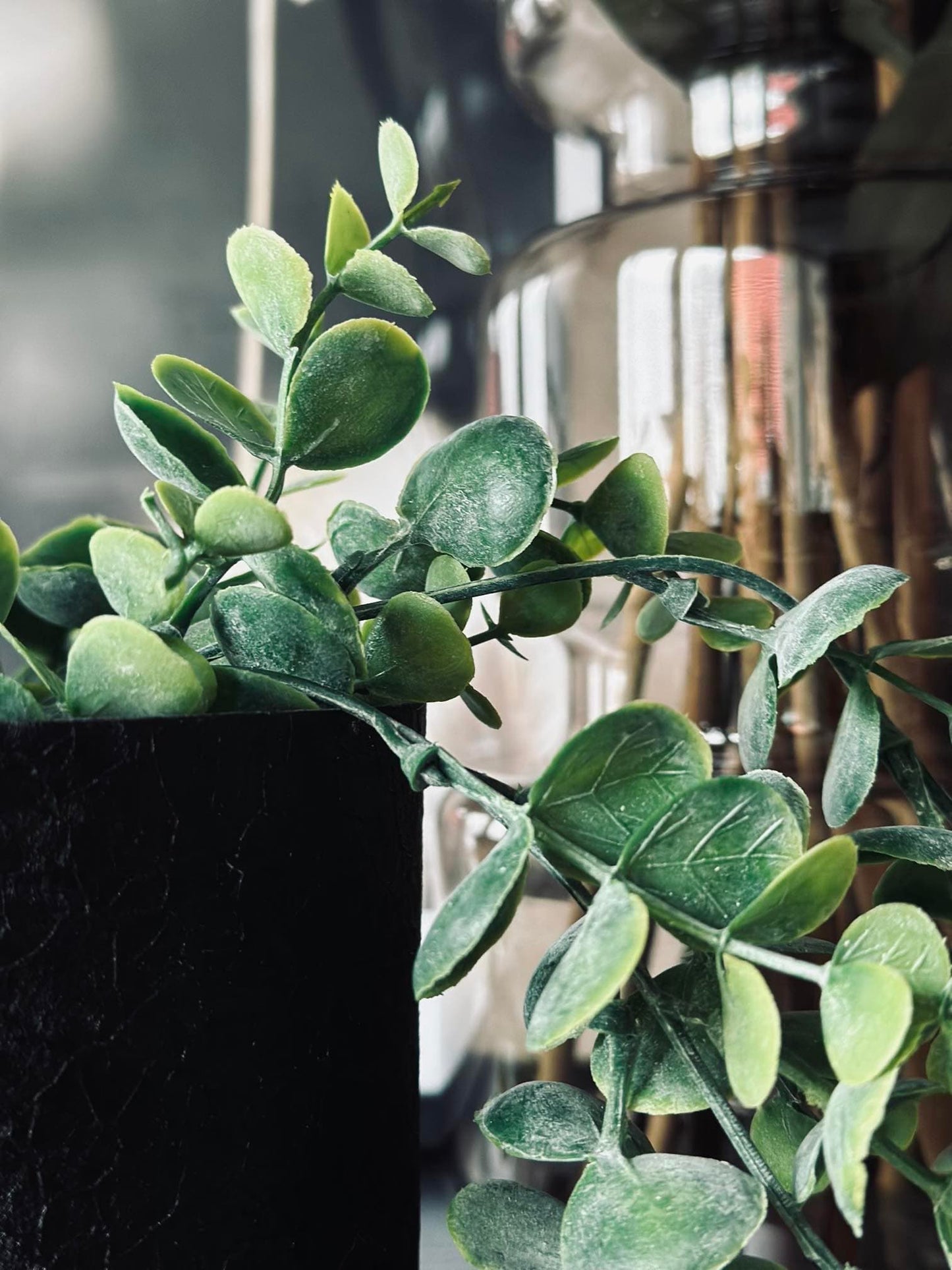 Hængeplante - Grønne nuancer