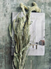 Hirse green