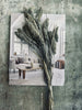 Hirse Grey