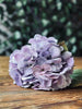 Hortensia Lilla