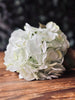 Hortensia Lime/hvid