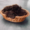Hundekurv i kraftig rattan – Lille