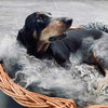 Hundekurv i kraftig rattan - Stor