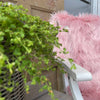Imiteret Rosa pels