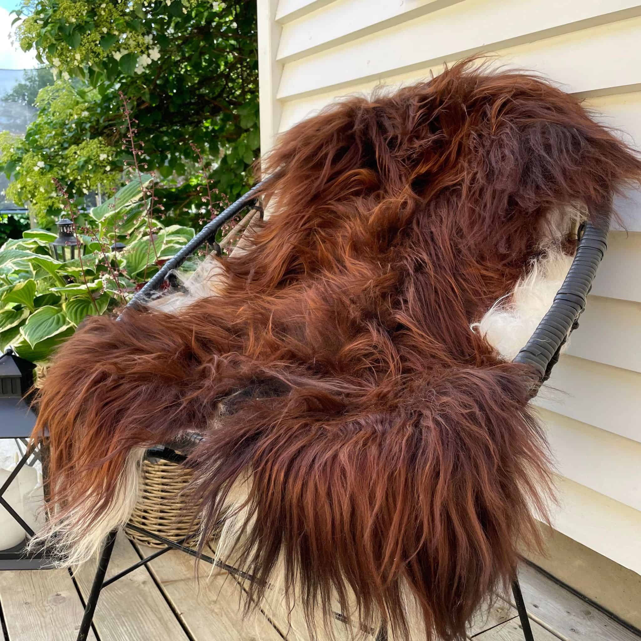 Islandsk 2. Sortering - Rust nuance m. hvid kant – VIAMAJA