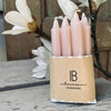Kertelys pak a 10 stk Malva Rose