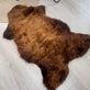 Korthåret Ginger - VIAMAJA.DK
