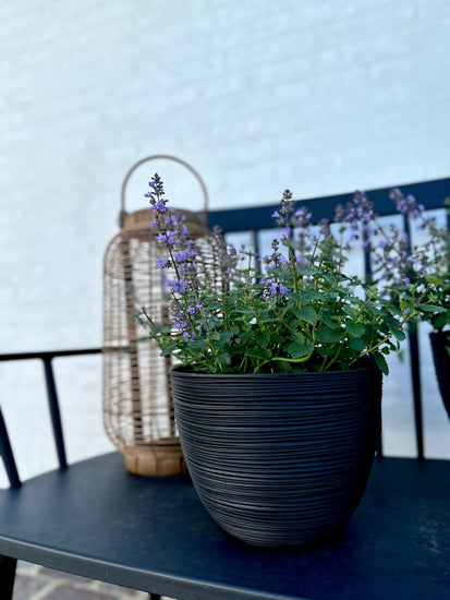 Krukke med riller – Black small - VIAMAJA.DK