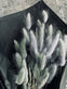 Lagurus – grey mist - VIAMAJA.DK