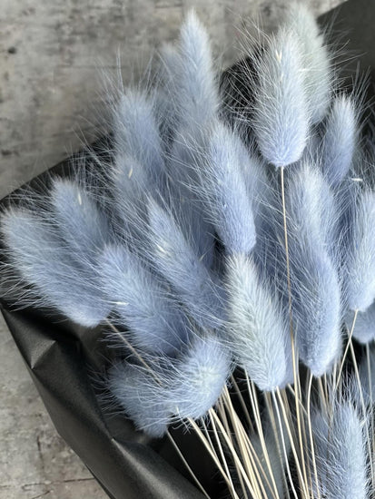 Lagurus – Skyblue - VIAMAJA.DK