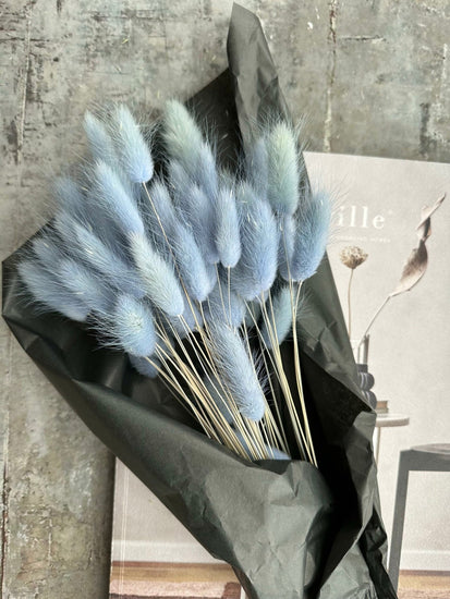 Lagurus – Skyblue - VIAMAJA.DK