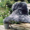 Lammeskind Langhåret Himalaya – Dark Grey