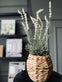Lavendel mix - H 46cm - VIAMAJA.DK