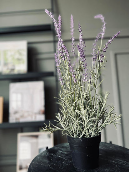 Lavendel mix - H 46cm - VIAMAJA.DK