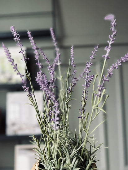 Lavendel mix - H 46cm - VIAMAJA.DK