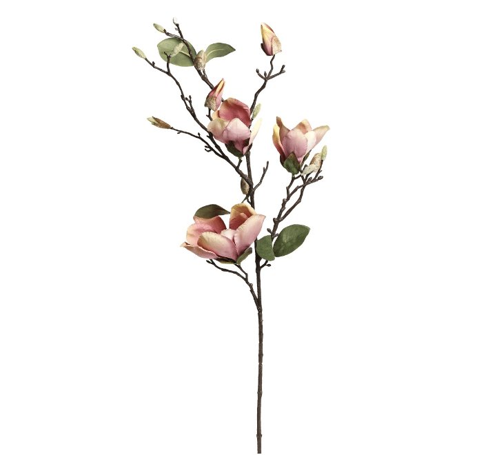 Magnolia - VIAMAJA.DK