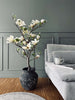 Magnoliatræ i potte - 120 cm Hvid / Lime