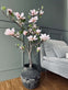 Magnoliatræ i potte - 120 cm Rosa - VIAMAJA.DK