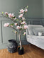 Magnoliatræ i potte - 120 cm Rosa - VIAMAJA.DK