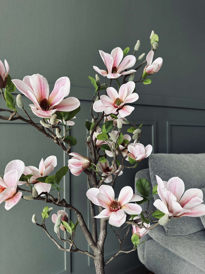 Magnoliatræ i potte - 120 cm Rosa - VIAMAJA.DK