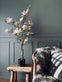 Magnoliatræ i potte - 120 cm Rosa - VIAMAJA.DK