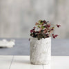 Marmor krukke – Mellem Marble