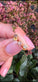 Mix box GIA Brown, pink, clear 18K forgyldt - VIAMAJA.DK