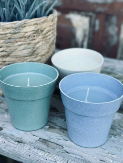 Myggelys – Citronella i biopotte - VIAMAJA.DK