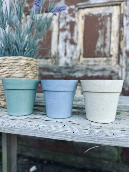Myggelys – Citronella i biopotte - VIAMAJA.DK